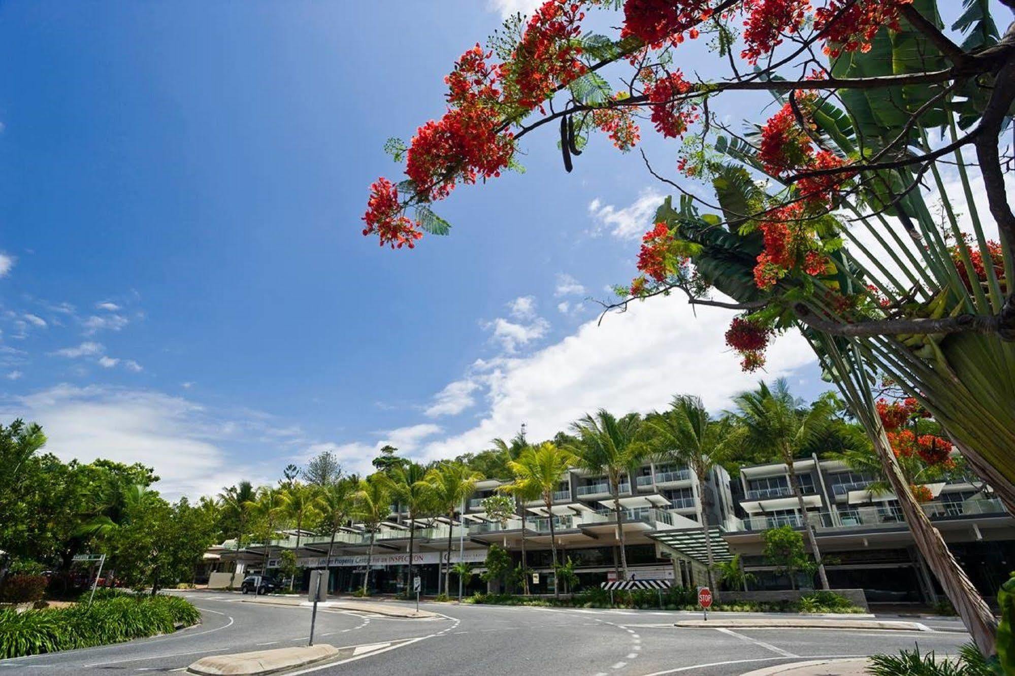 Coconut Grove Aparthotel Port Douglas Bagian luar foto